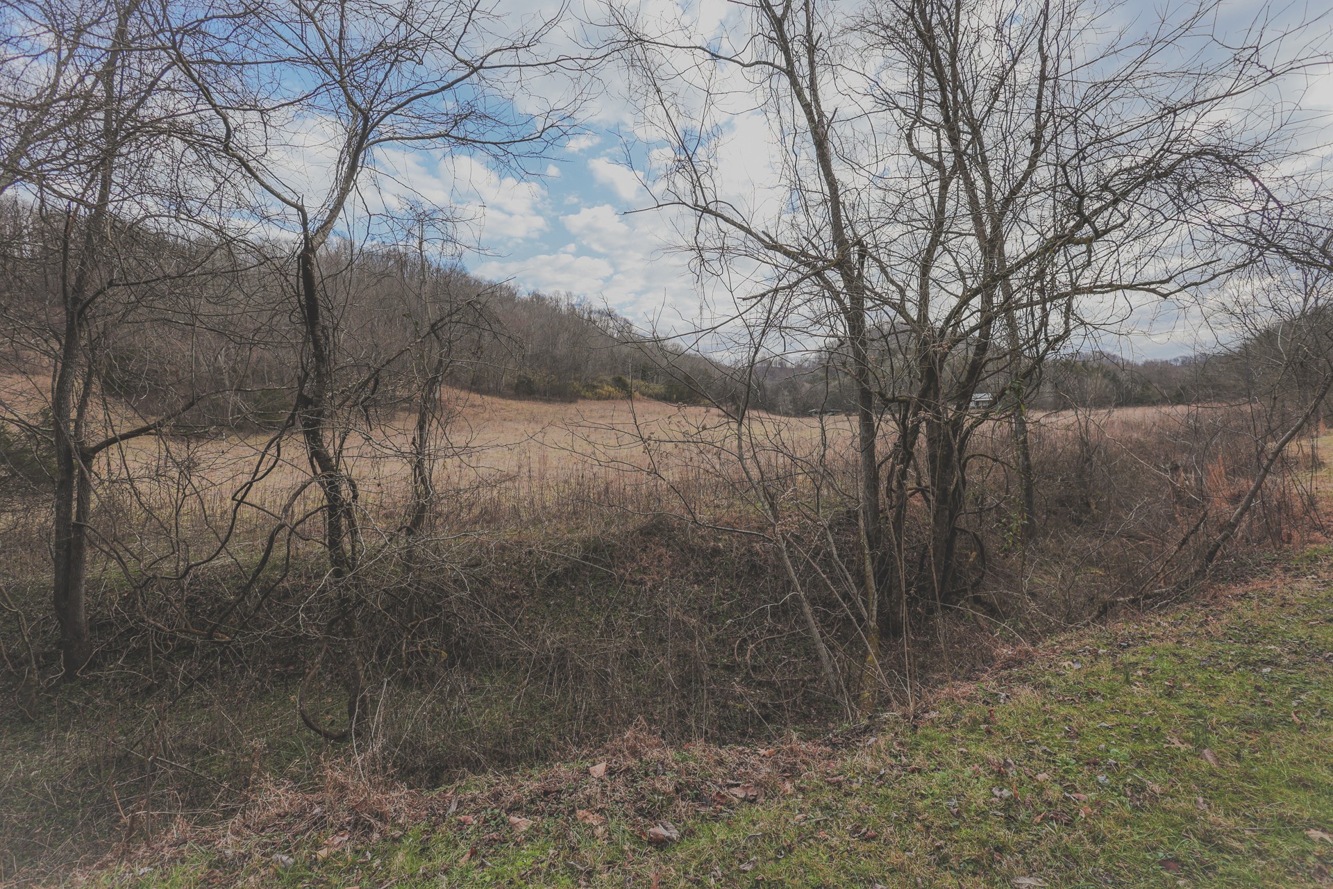 16431 Wallace Hollow Road Silver Point, TN 38582 - Photo 59 of 90