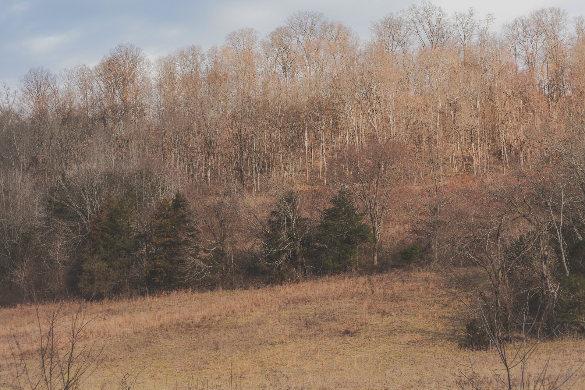 16431 Wallace Hollow Road Silver Point, TN 38582 - Photo 6 of 90