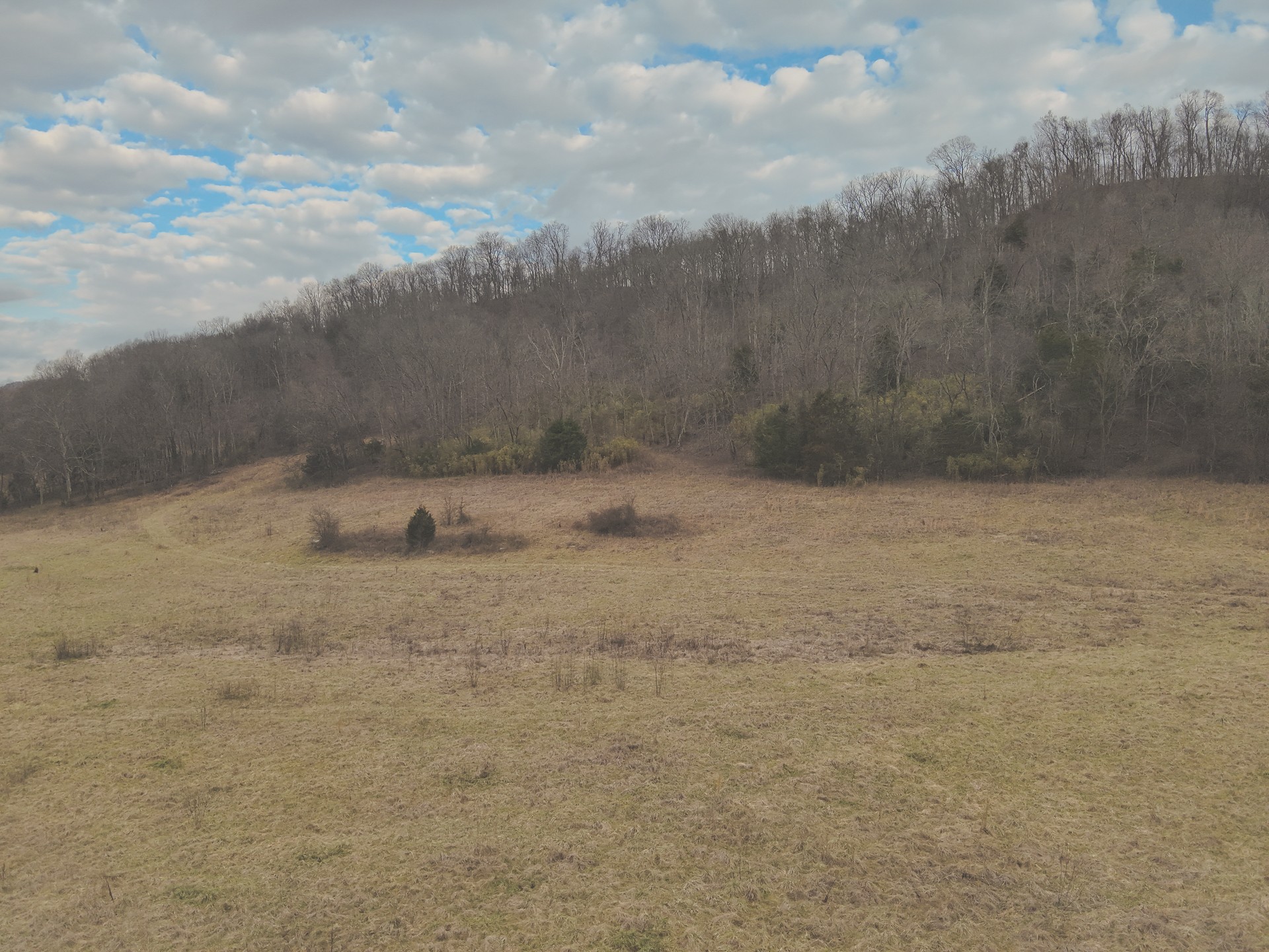 16431 Wallace Hollow Road Silver Point, TN 38582 - Photo 66 of 90