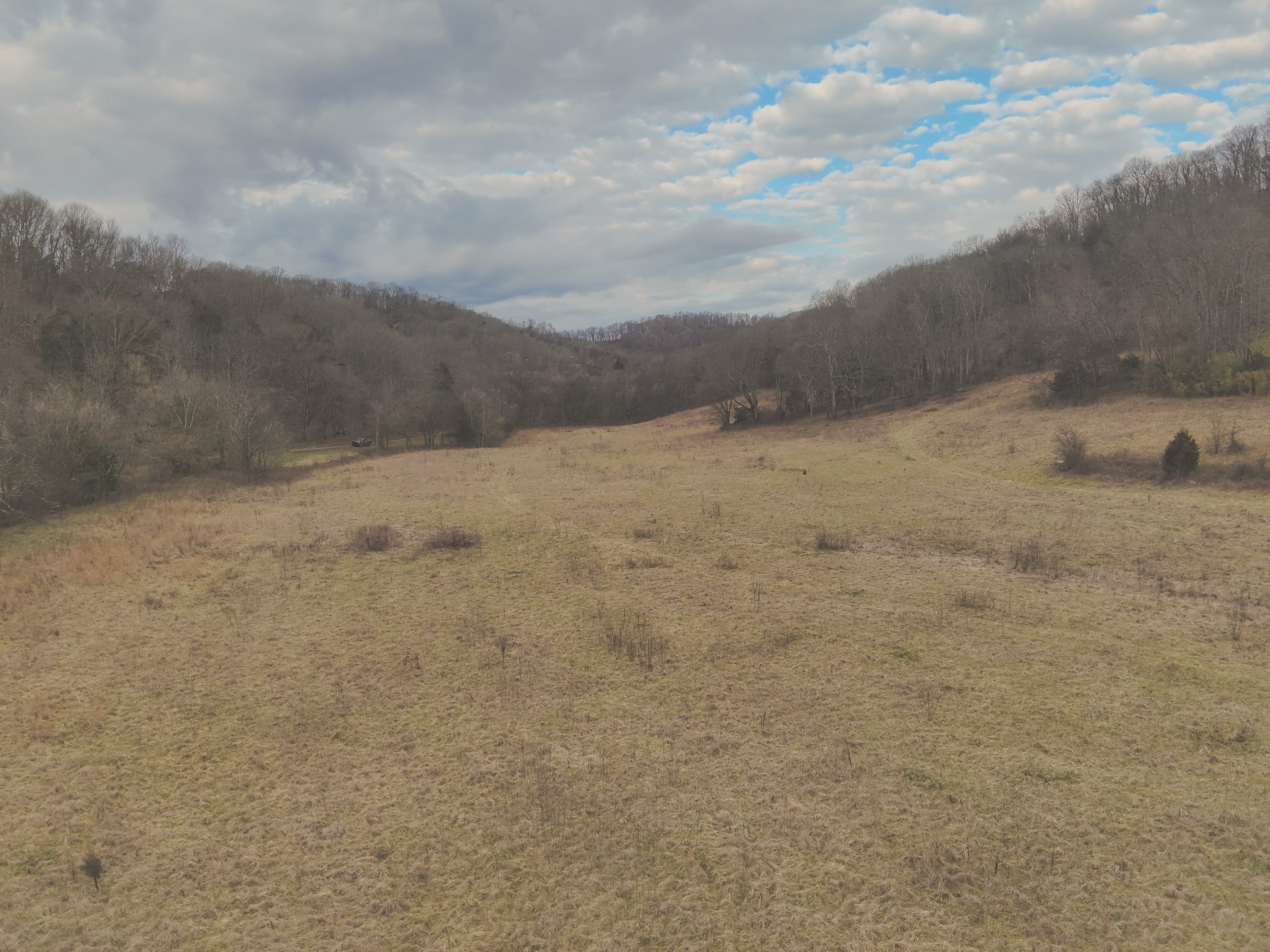 16431 Wallace Hollow Road Silver Point, TN 38582 - Photo 67 of 90