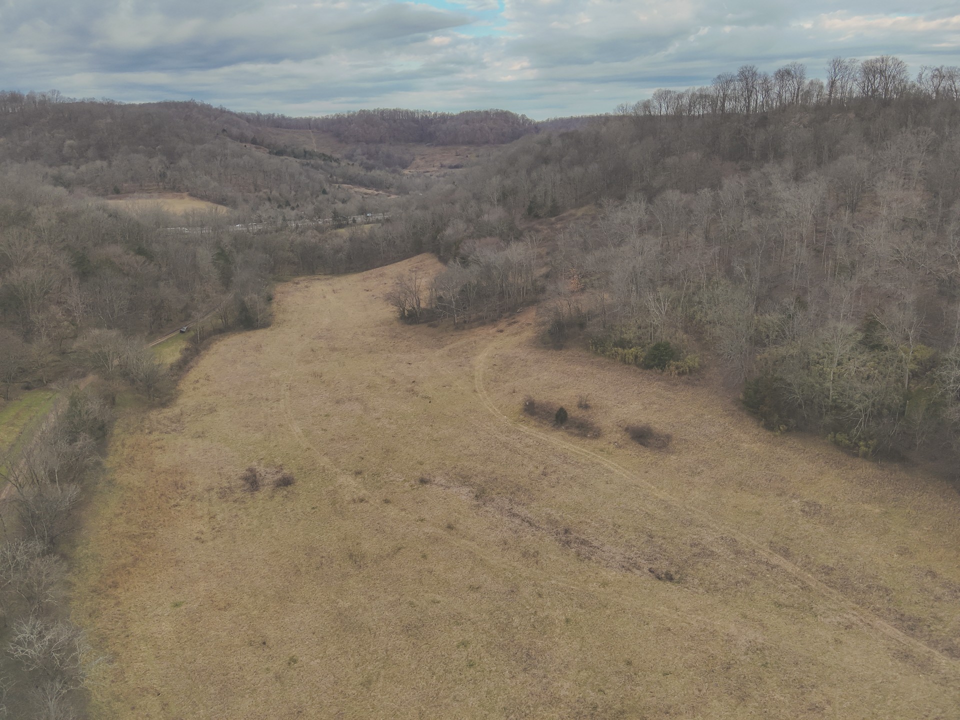 16431 Wallace Hollow Road Silver Point, TN 38582 - Photo 68 of 90