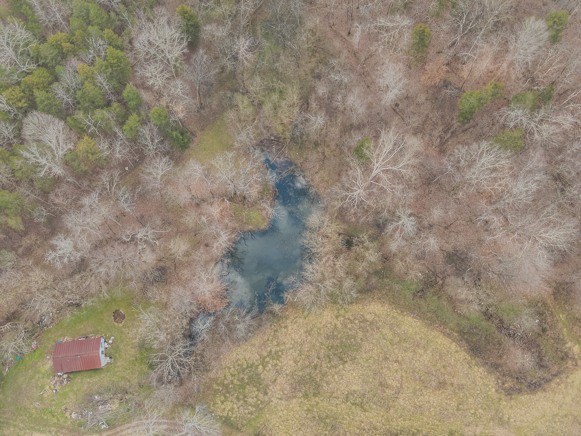 16431 Wallace Hollow Road Silver Point, TN 38582 - Photo 7 of 90