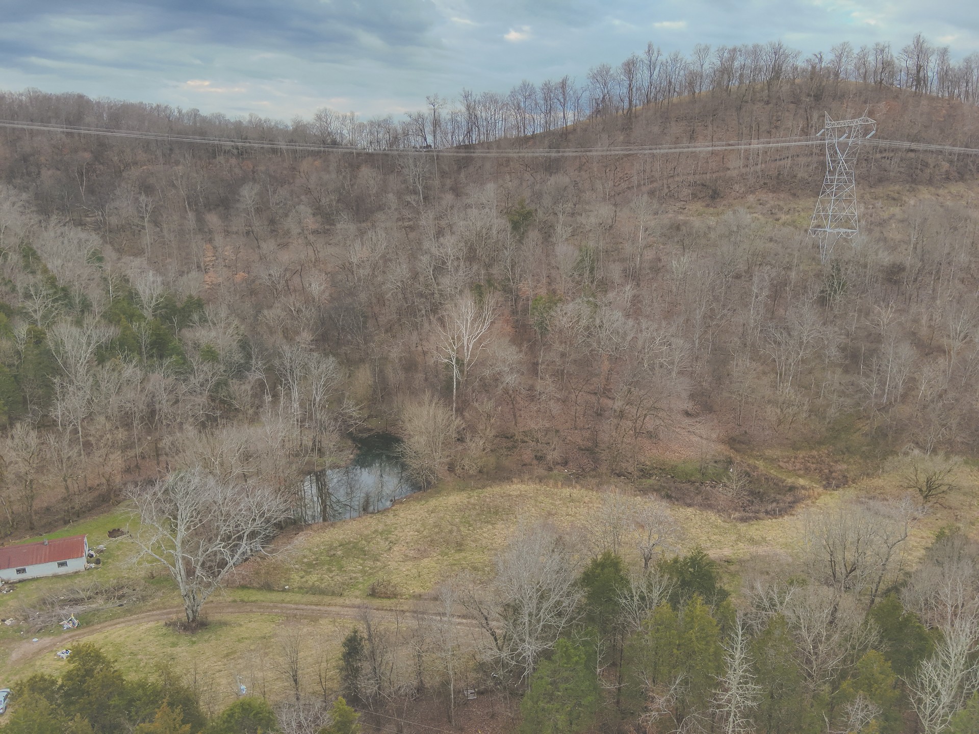 16431 Wallace Hollow Road Silver Point, TN 38582 - Photo 71 of 90