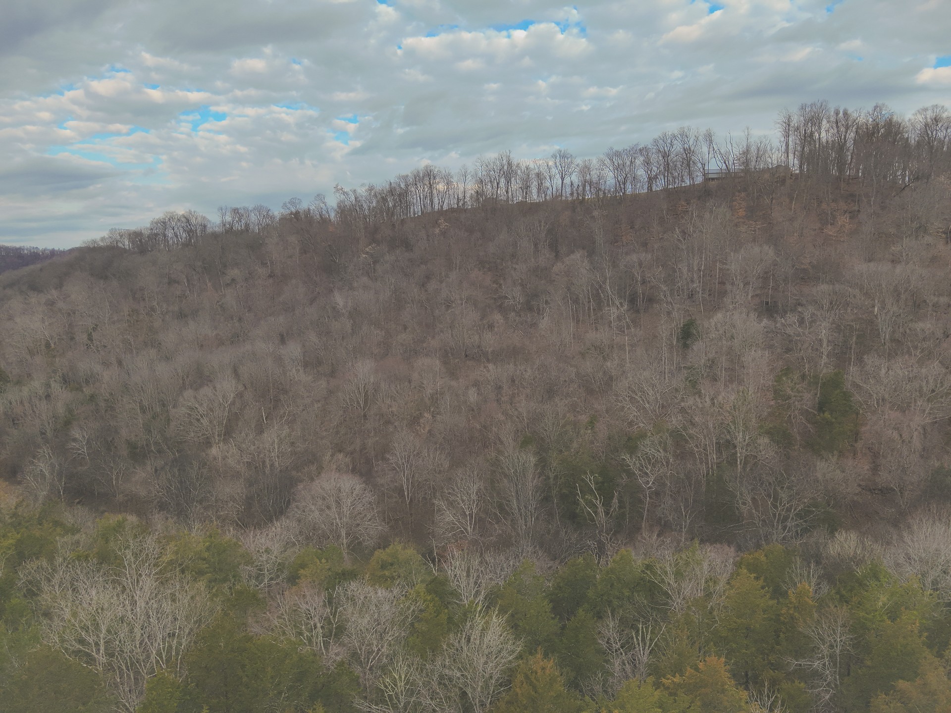 16431 Wallace Hollow Road Silver Point, TN 38582 - Photo 73 of 90