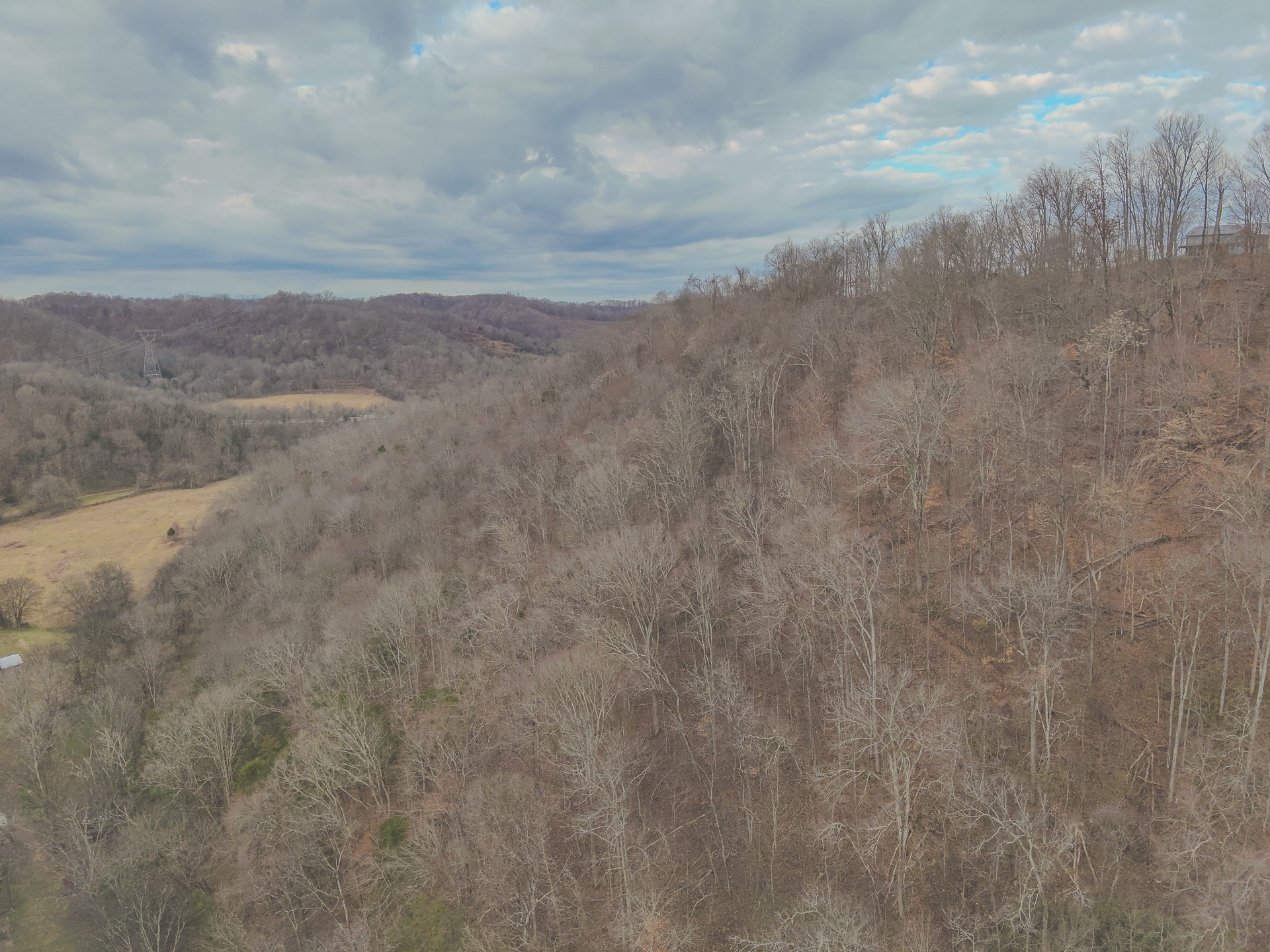16431 Wallace Hollow Road Silver Point, TN 38582 - Photo 75 of 90