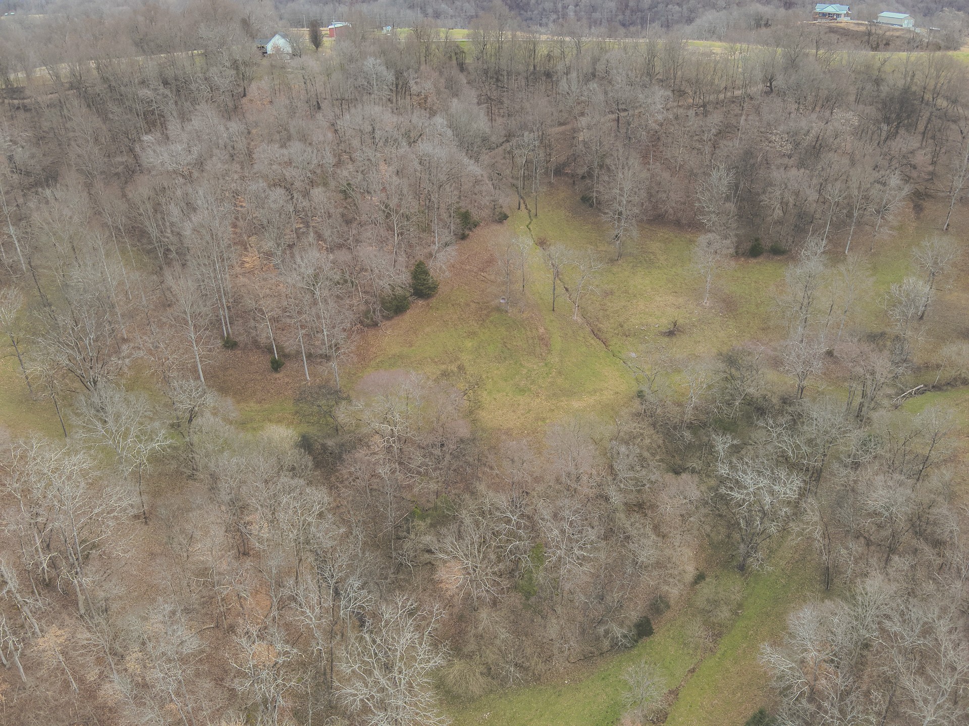 16431 Wallace Hollow Road Silver Point, TN 38582 - Photo 77 of 90