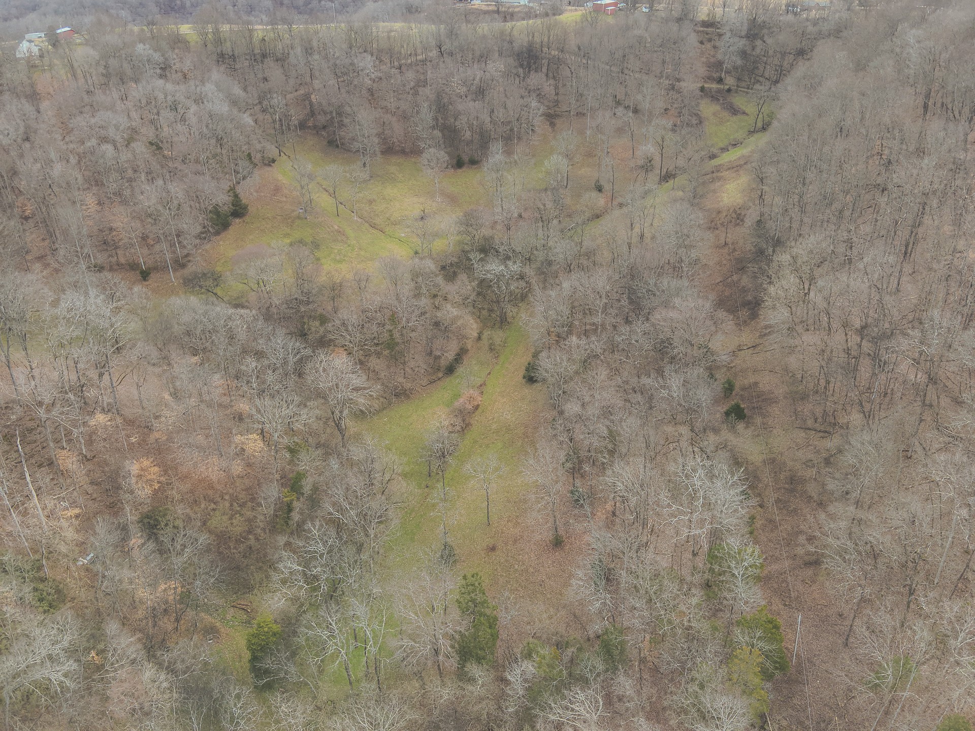 16431 Wallace Hollow Road Silver Point, TN 38582 - Photo 78 of 90