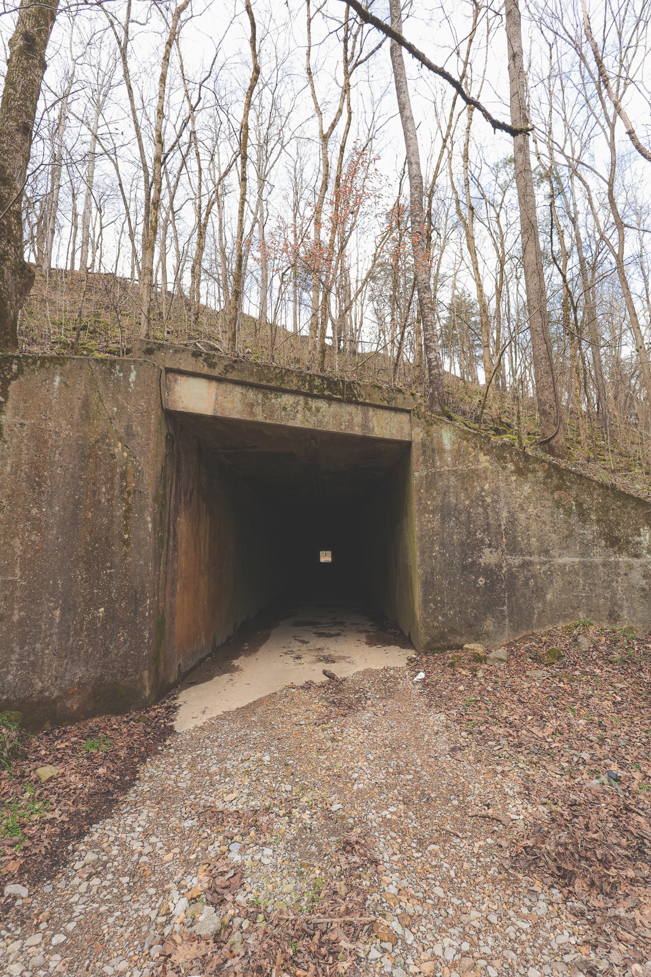 16431 Wallace Hollow Road Silver Point, TN 38582 - Photo 8 of 90