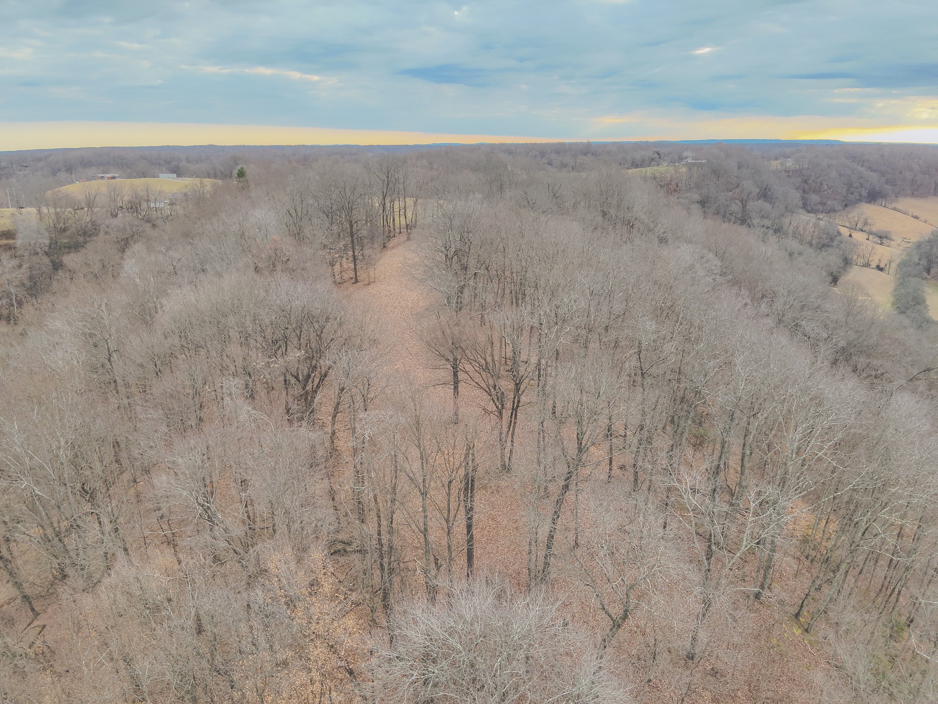 16431 Wallace Hollow Road Silver Point, TN 38582 - Photo 81 of 90