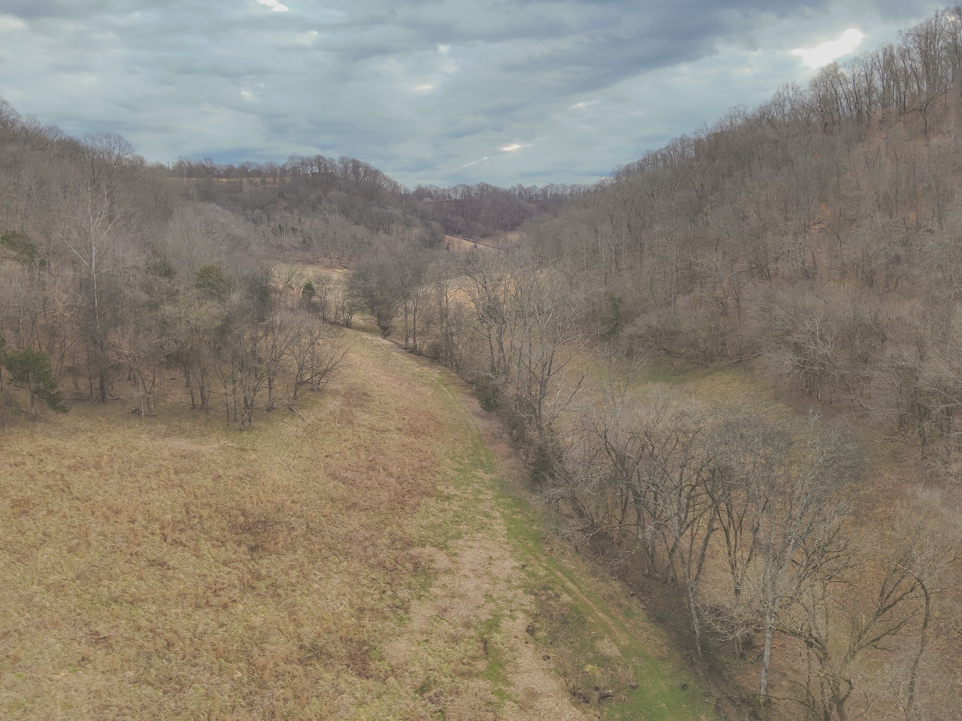 16431 Wallace Hollow Road Silver Point, TN 38582 - Photo 83 of 90