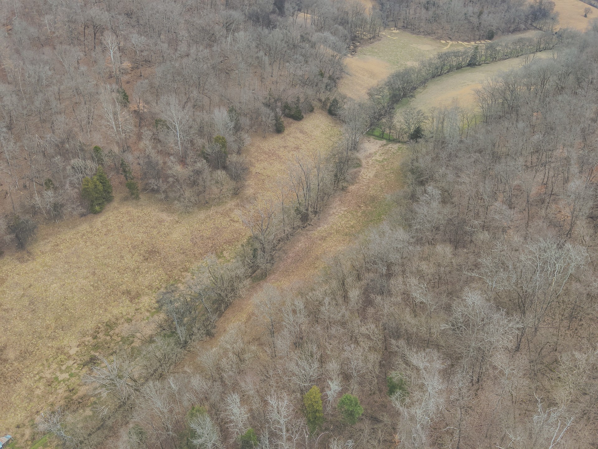 16431 Wallace Hollow Road Silver Point, TN 38582 - Photo 84 of 90