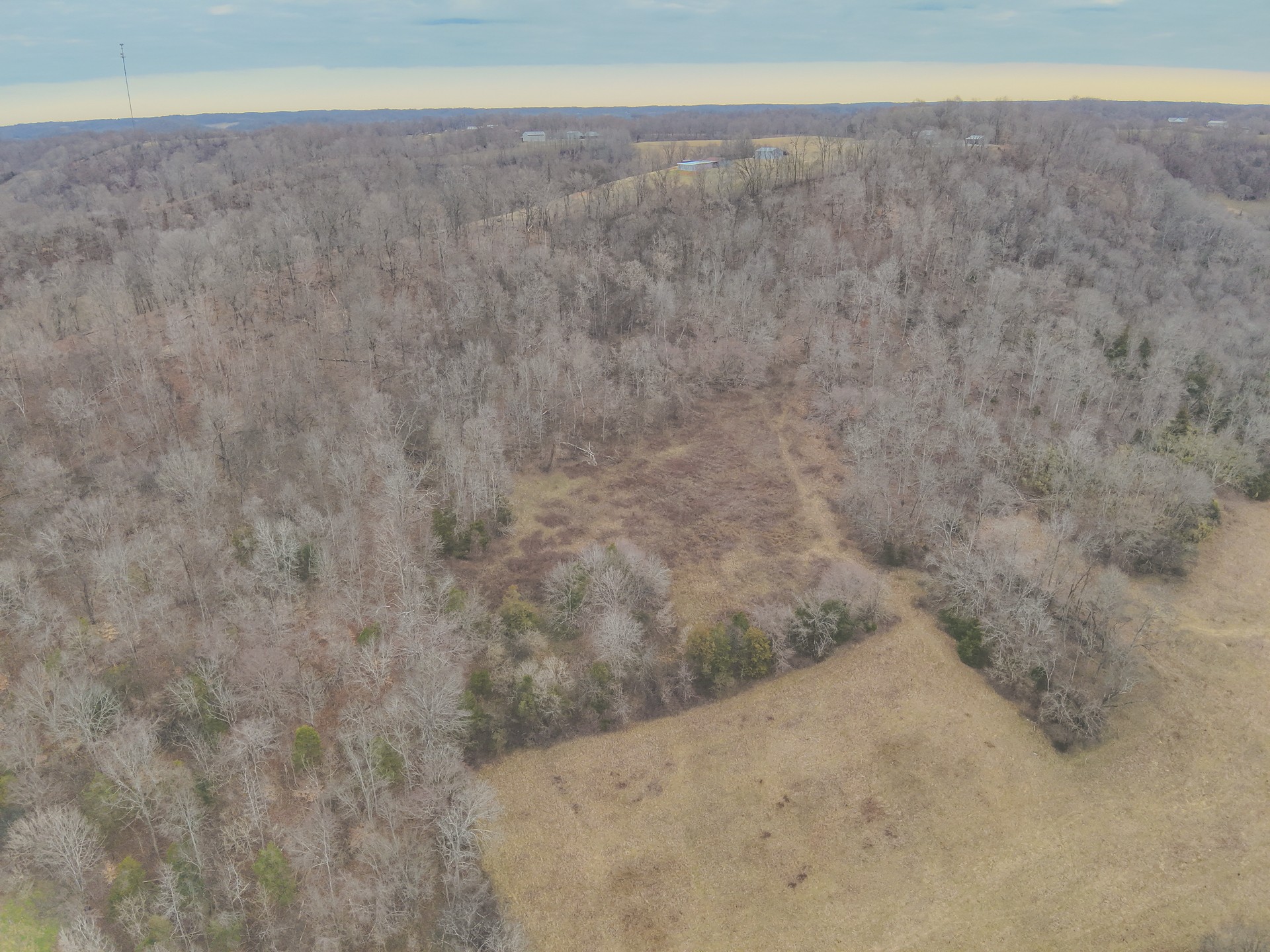 16431 Wallace Hollow Road Silver Point, TN 38582 - Photo 86 of 90