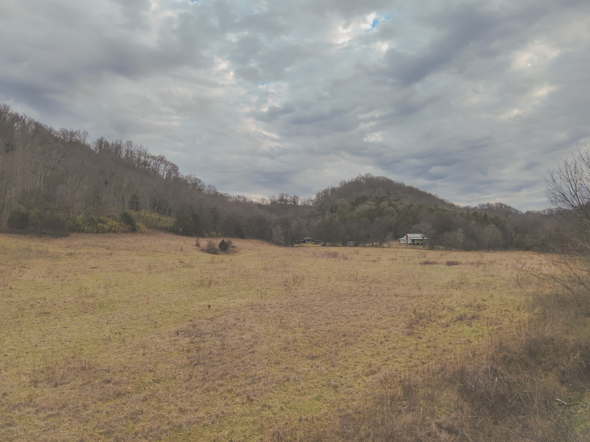 16431 Wallace Hollow Road Silver Point, TN 38582 - Photo 90 of 90