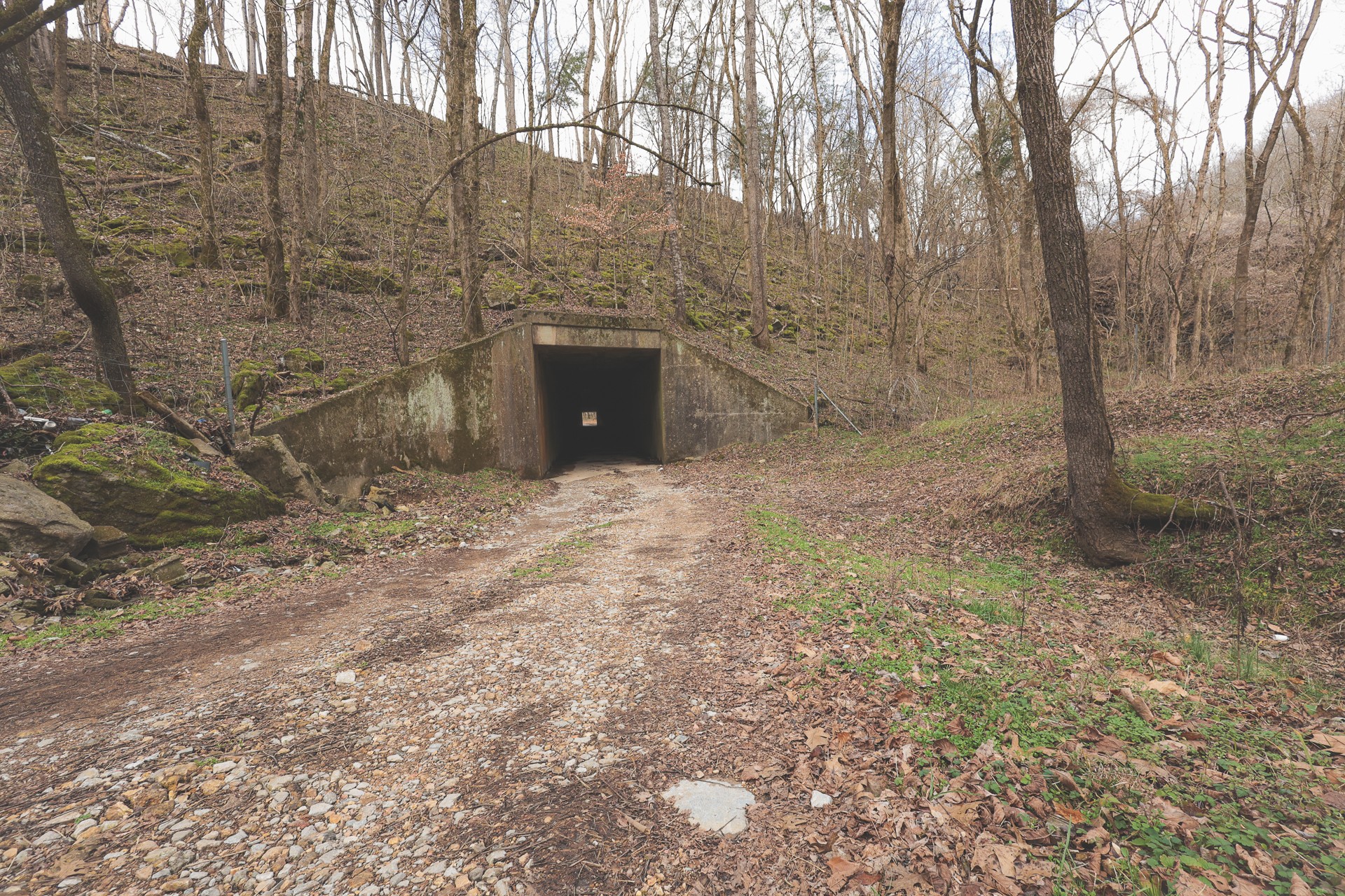 16431 Wallace Hollow Road Silver Point, TN 38582 - Photo 10 of 90