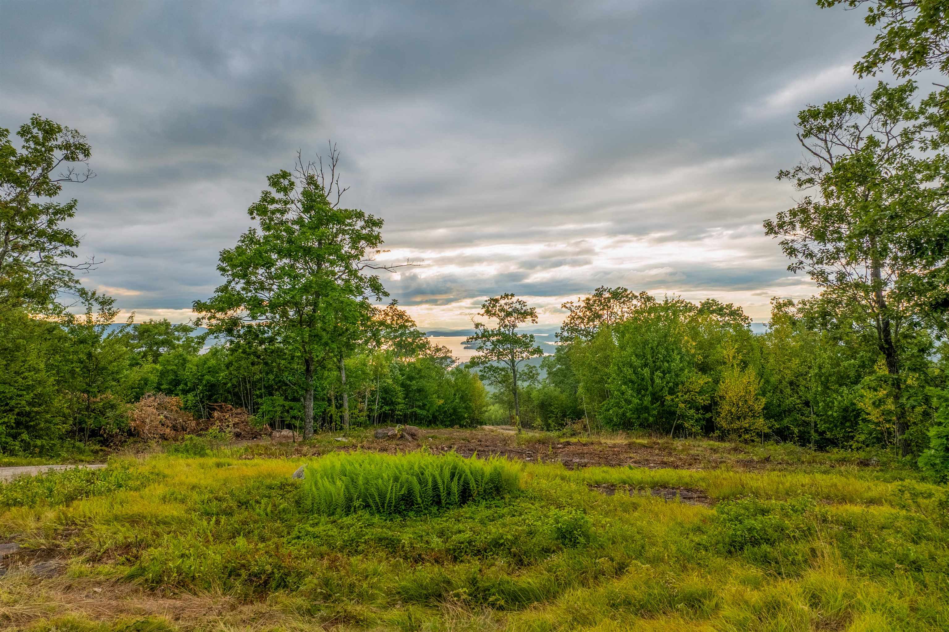 0 Long Stack Lane, Unit 55 Wolfeboro, NH 03894 - Photo 2 of 13