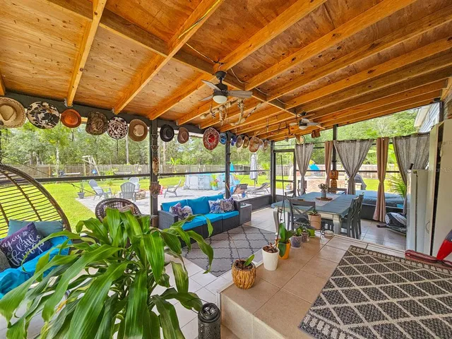 a view of backyard with a garden and plants