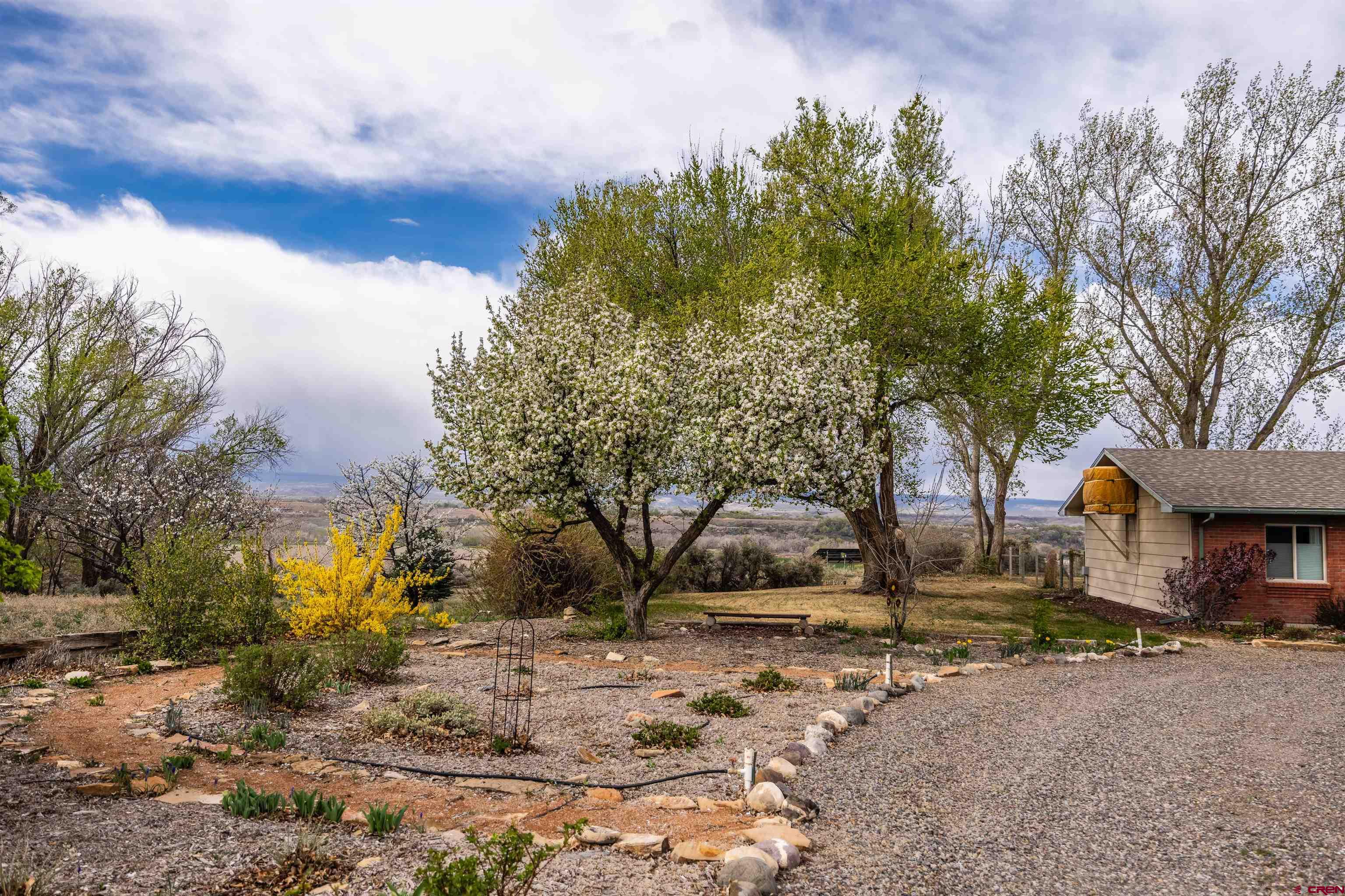 62300 Jig Road Montrose, CO 81401 - Photo 24 of 29 Gallery Image 24