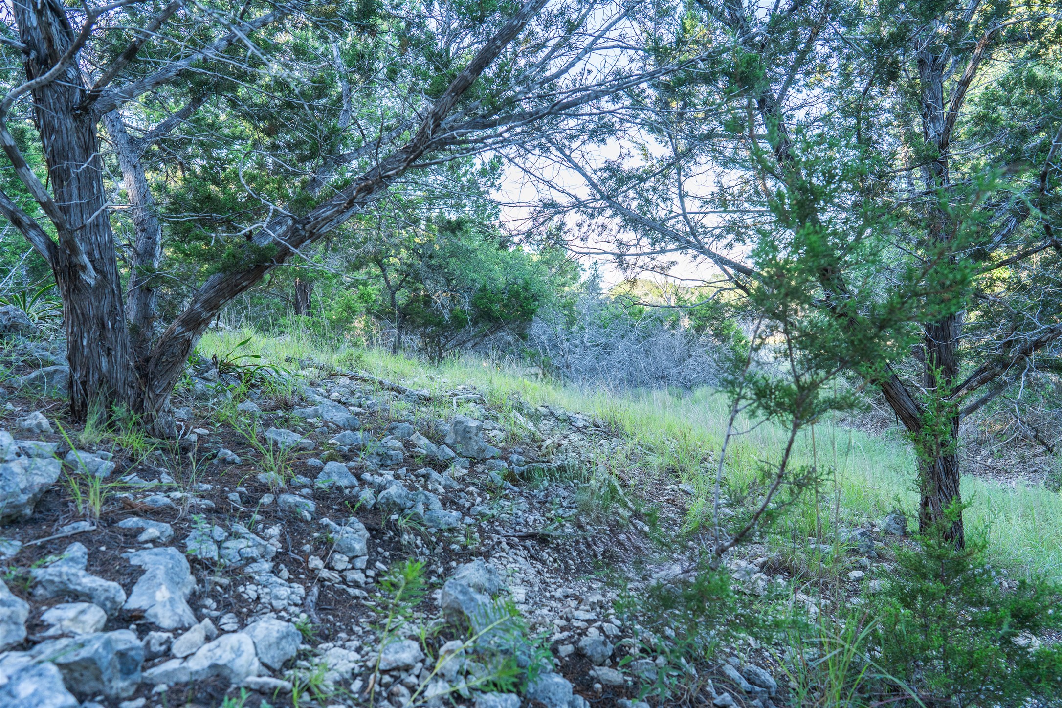 Tbd Crabapple Road Blanco, TX 78606 - Photo 8 of 17