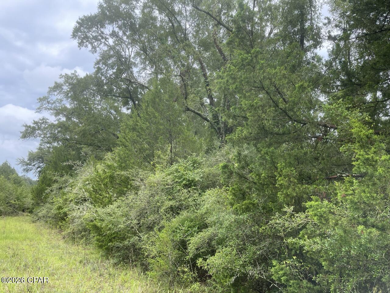 0 Beall Packing House Road Bonifay, FL 32425 - Photo 6 of 9