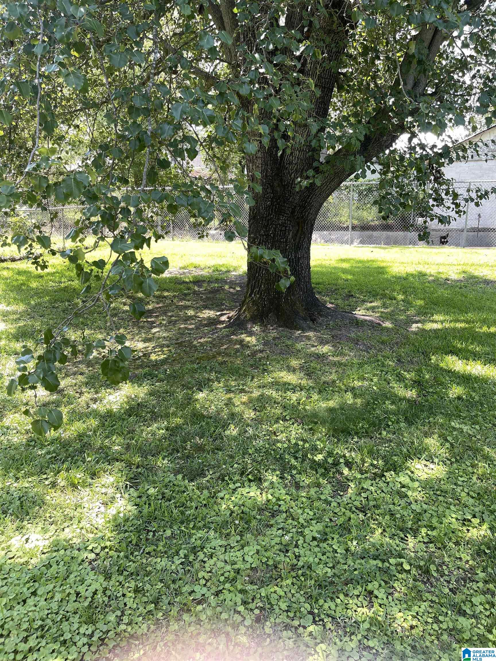615 Sizemore Street Gadsden, AL 35903 - Photo 14 of 26