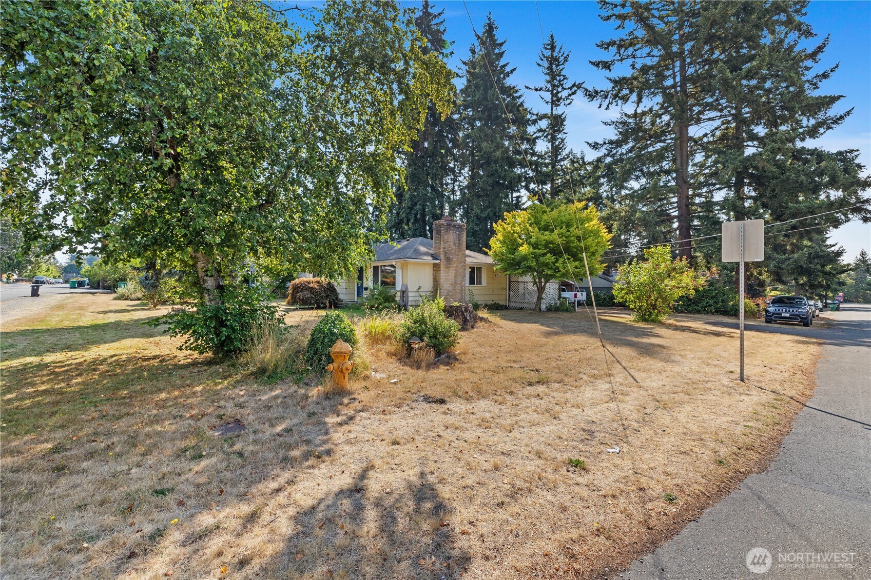 105 Northeast 180th Street Shoreline, WA 98155 - Photo 28 of 34 a view of a yard with plants and large trees