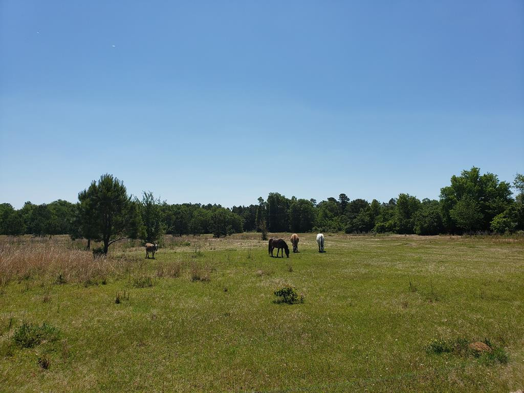 Lot 4 Bath Patterson Road Hephzibah, GA 30815 - Photo 1 of 1