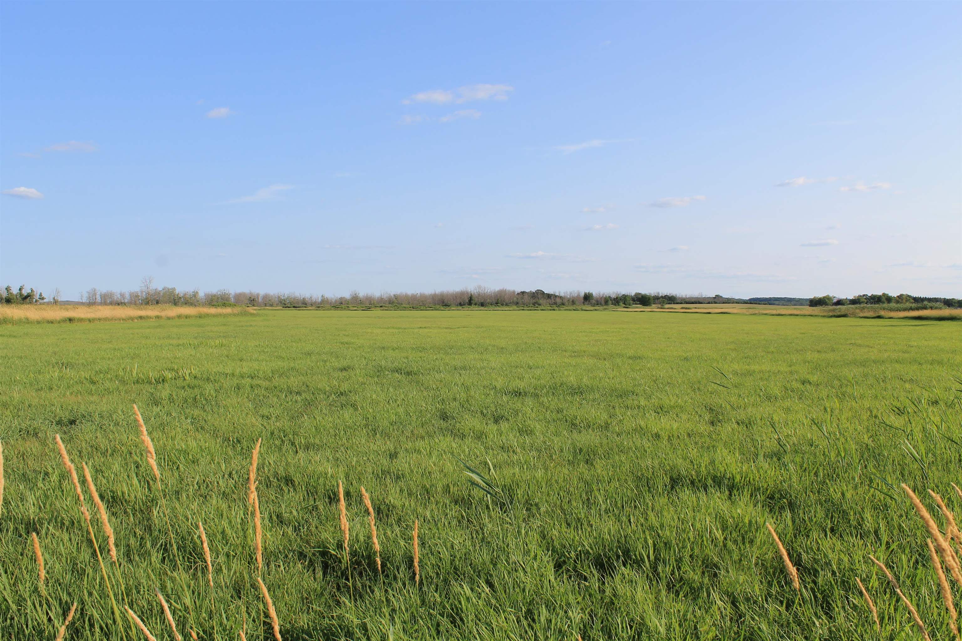 Cty Road Reedsville, WI 54230 - Photo 15 of 29 Gallery Image 15