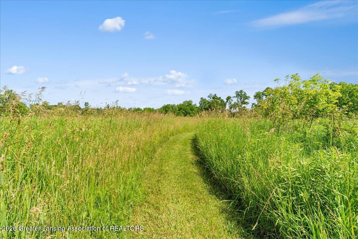 6340 North Hartel Road Potterville, MI 48876 - Photo 49 of 62
