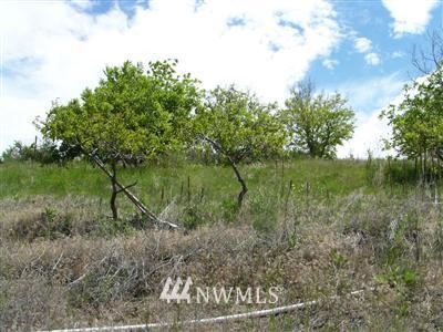 -tbd South State Frontage Road Tonasket, WA 98855 - Photo 1 of 1 Gallery Image 1