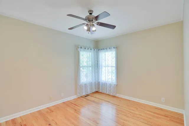 a view of a trees with a big yard