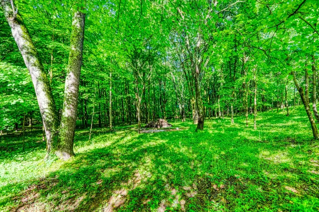 a view of a interior of the house