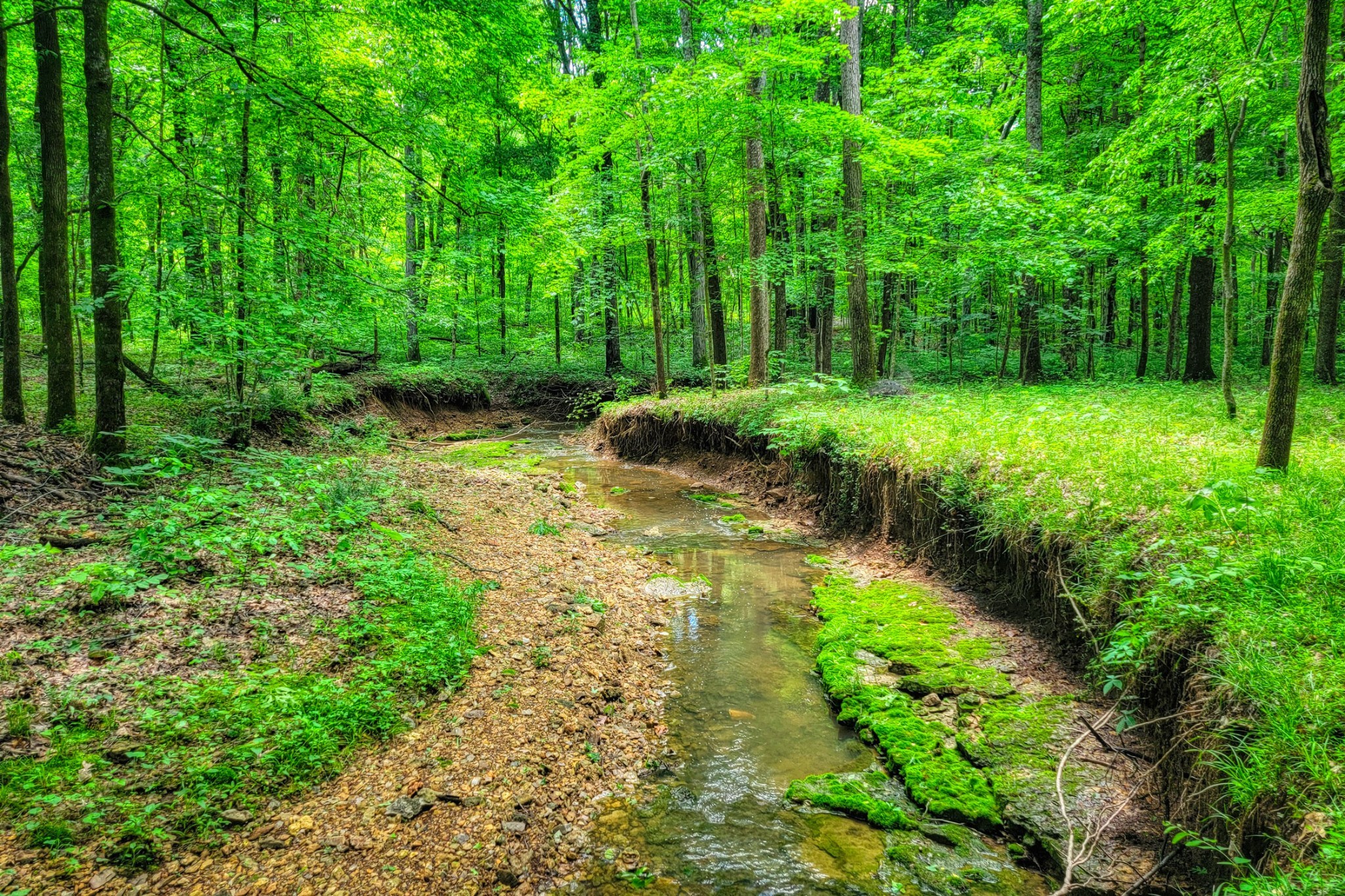 358 Spring Valley Drive Cottontown, TN 37048 - Photo 67 of 67