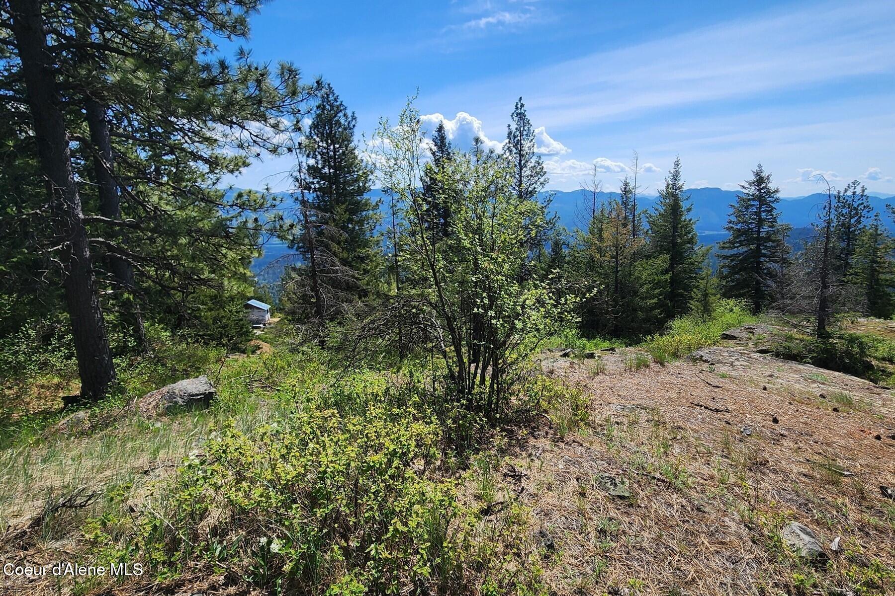 Nna All Seasons Road Naples, ID 83847 - Photo 11 of 16 86415399