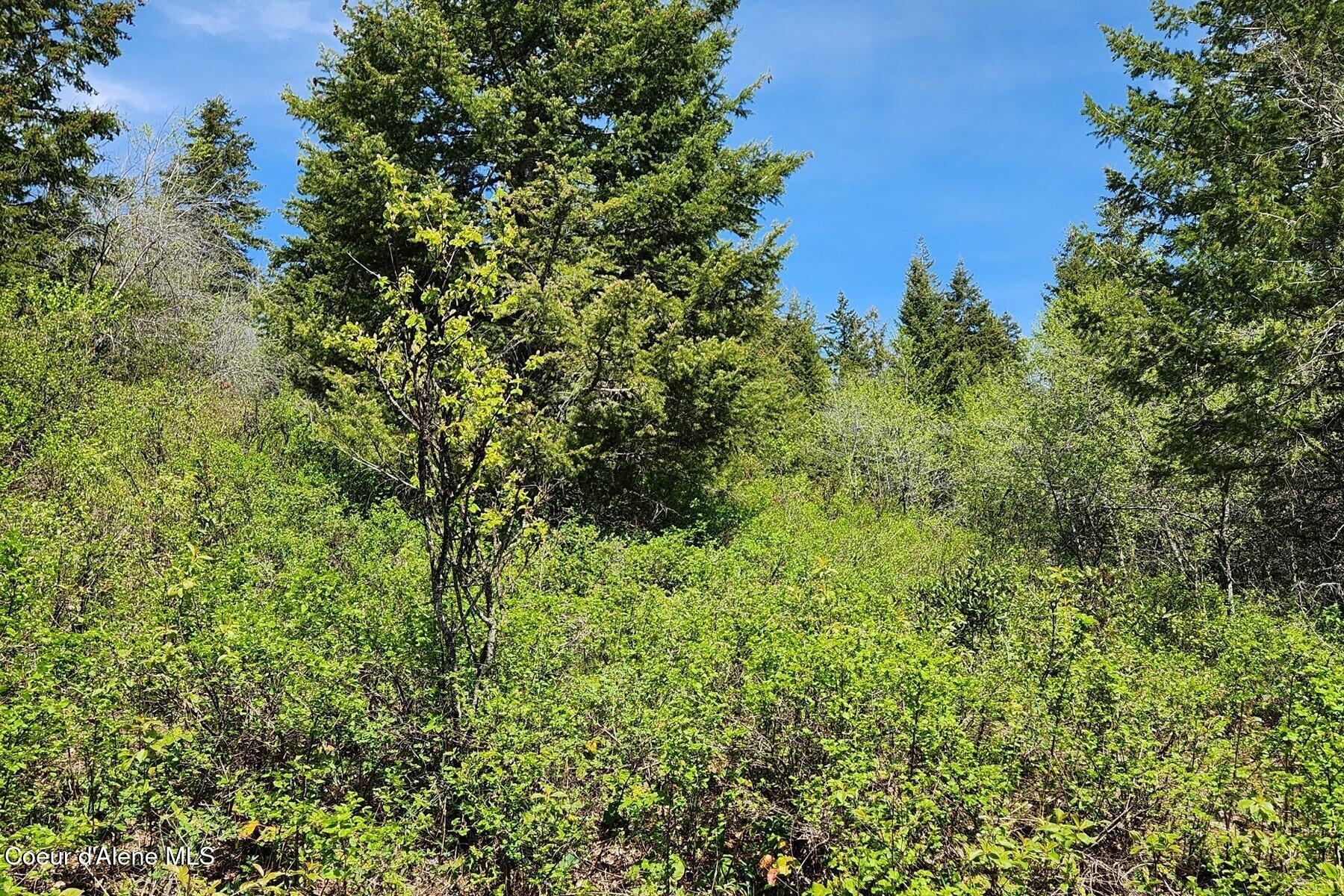 Nna All Seasons Road Naples, ID 83847 - Photo 3 of 16 86415391