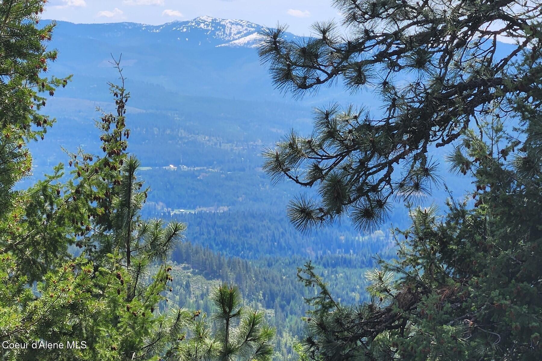 Nna All Seasons Road Naples, ID 83847 - Photo 4 of 16 West View