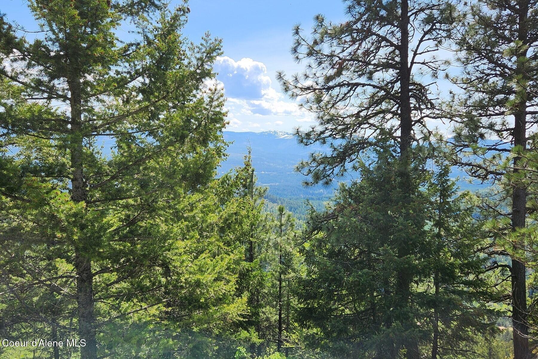 Nna All Seasons Road Naples, ID 83847 - Photo 6 of 16 86415392