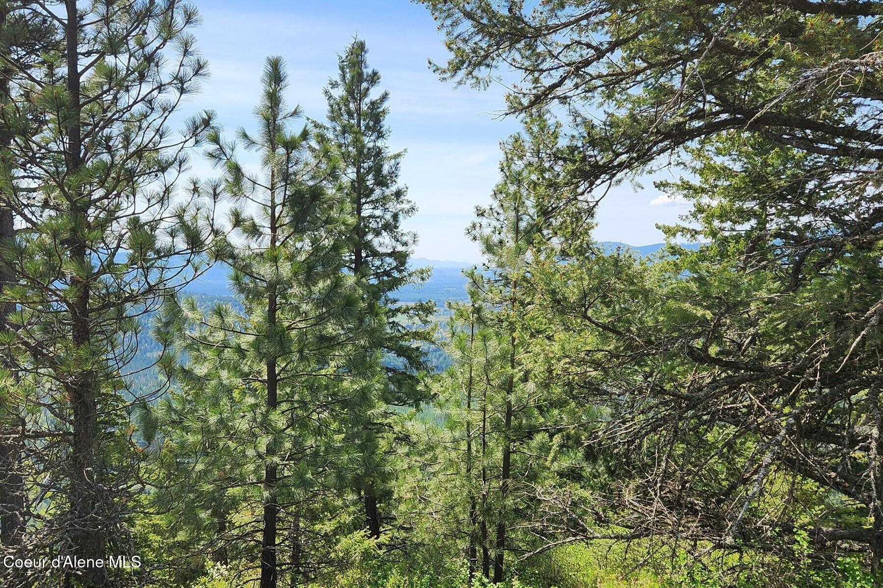 Nna All Seasons Road Naples, ID 83847 - Photo 7 of 16 86415393