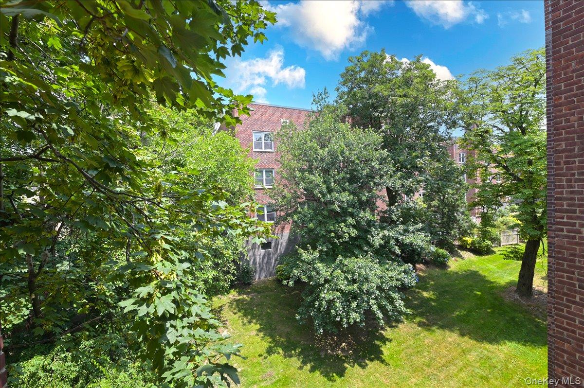 25 Canterbury Road, Unit 3T Great Neck, NY 11021 - Photo 8 of 16 View