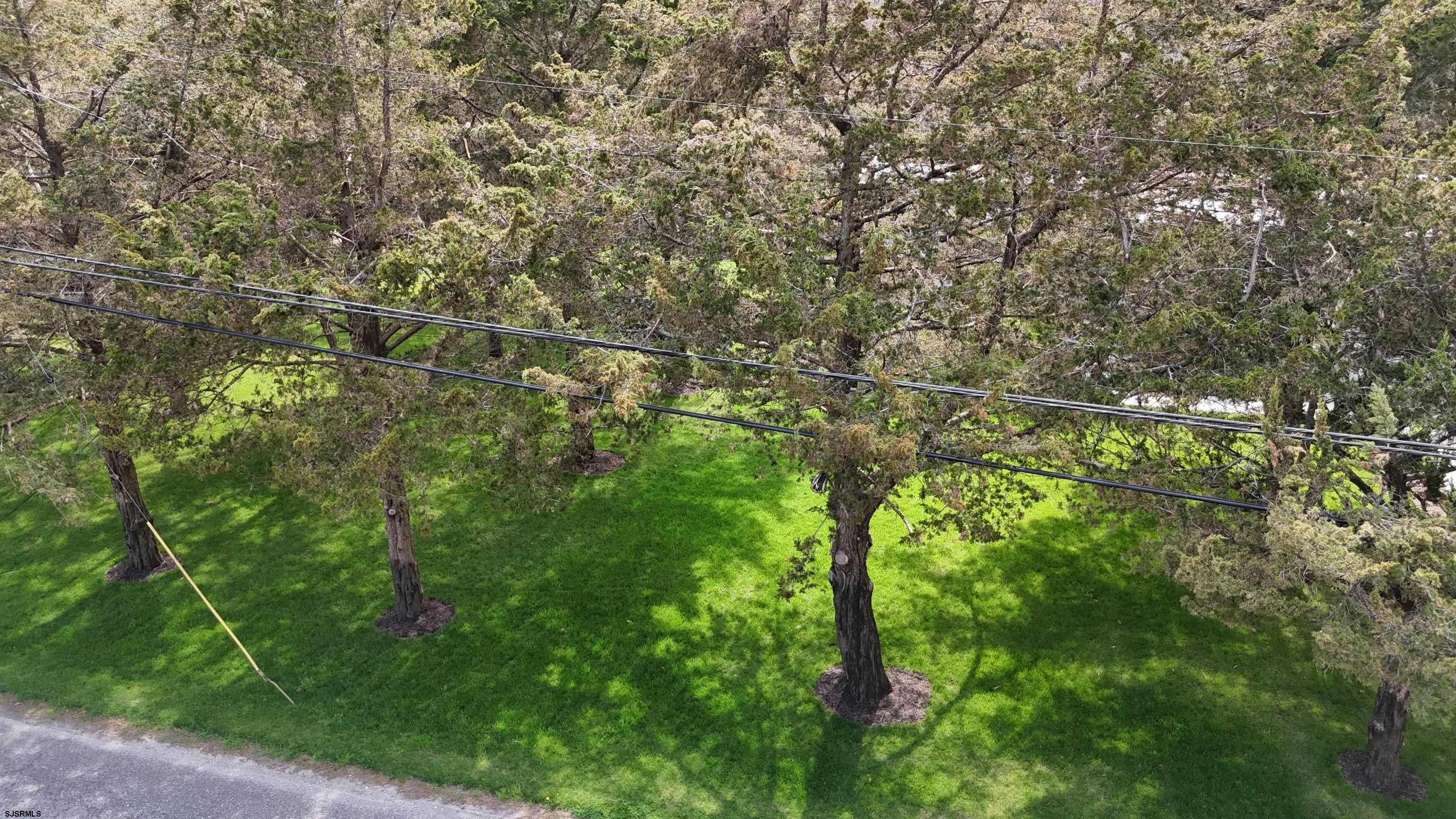 172 Old Port Republic Road Galloway Township, NJ 08205 - Photo 32 of 35 a view of a yard