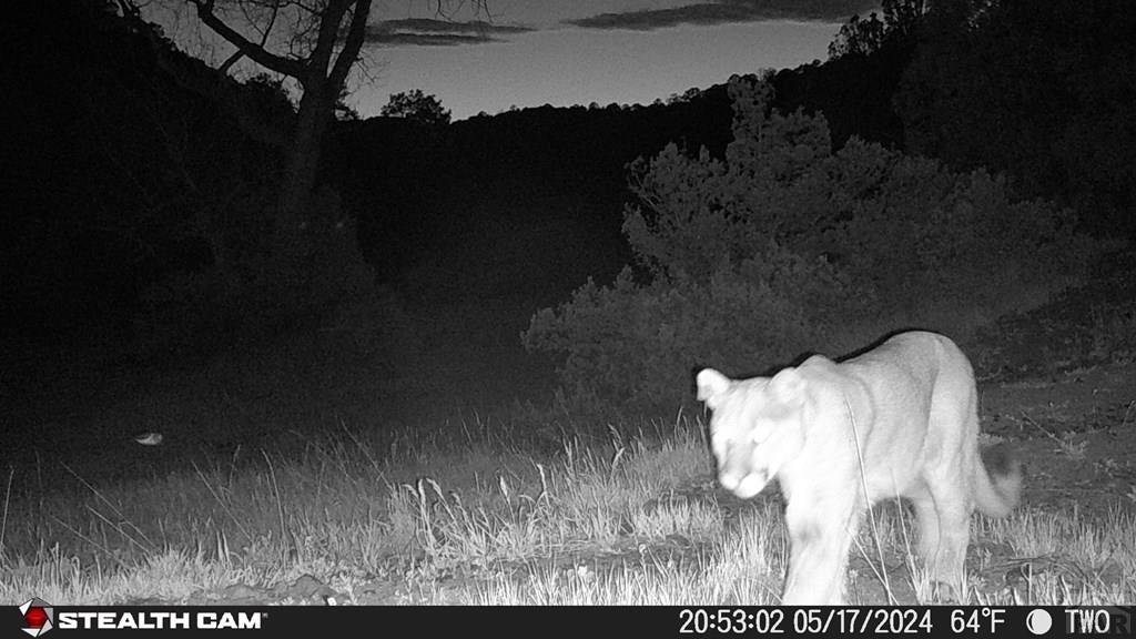 17001 Peacock Road Trinidad, CO 81082 - Photo 56 of 62
