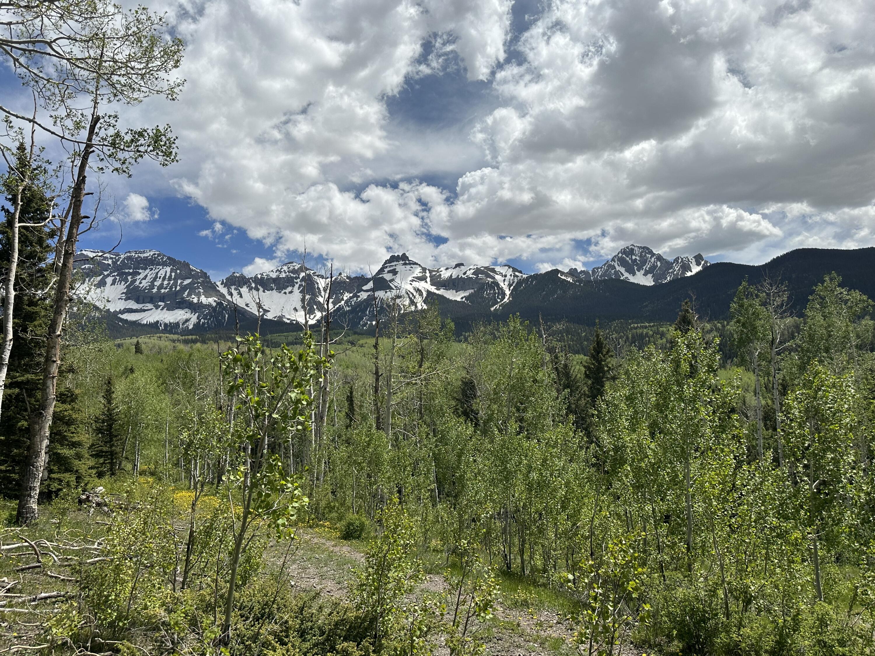 5 County Road 5 Ridgway, CO 81432 - Photo 14 of 19 IMG-7774
