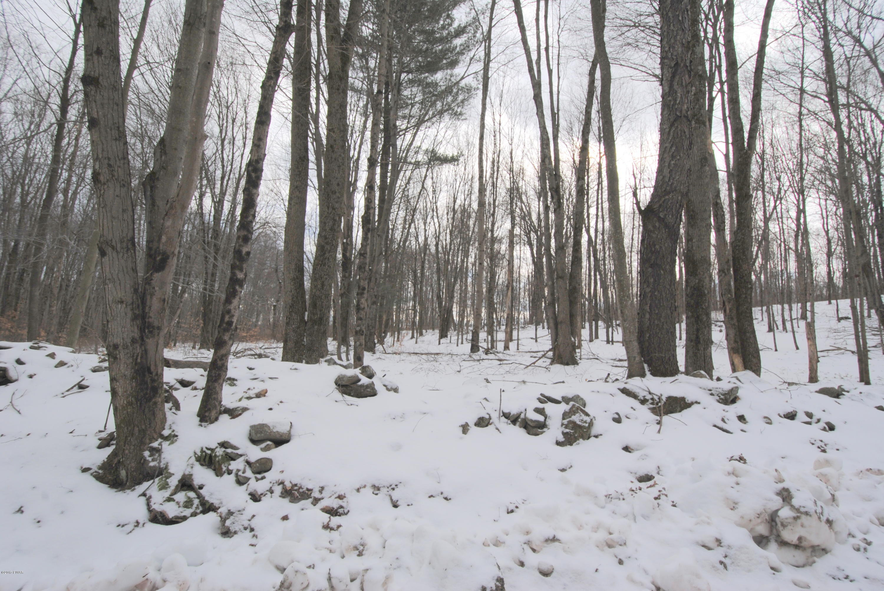 Burke Road Damascus, PA 18415 - Photo 5 of 12