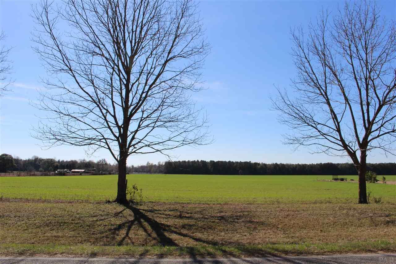 0 Hwy 182 Jay Milton, FL 32571 - Photo 1 of 14