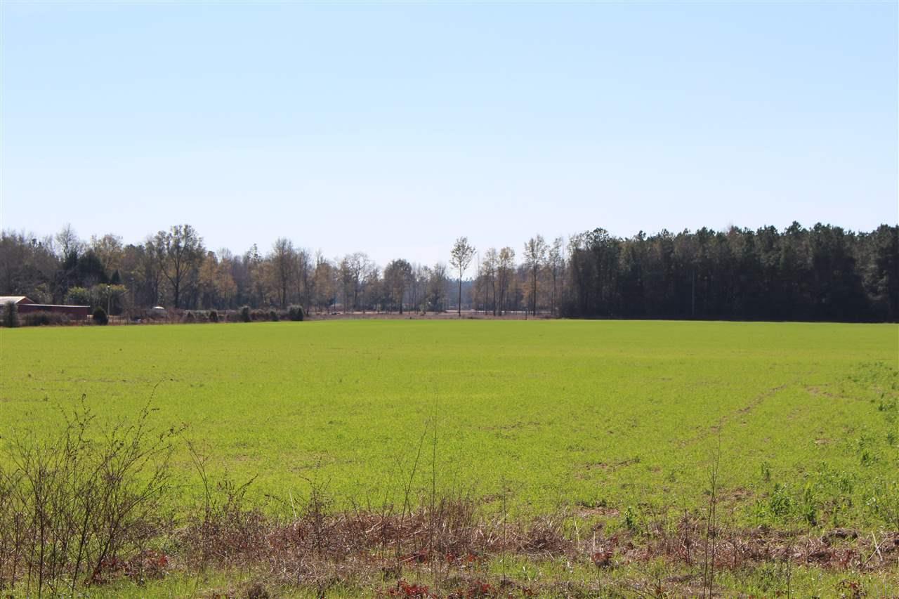 0 Hwy 182 Jay Milton, FL 32571 - Photo 11 of 14