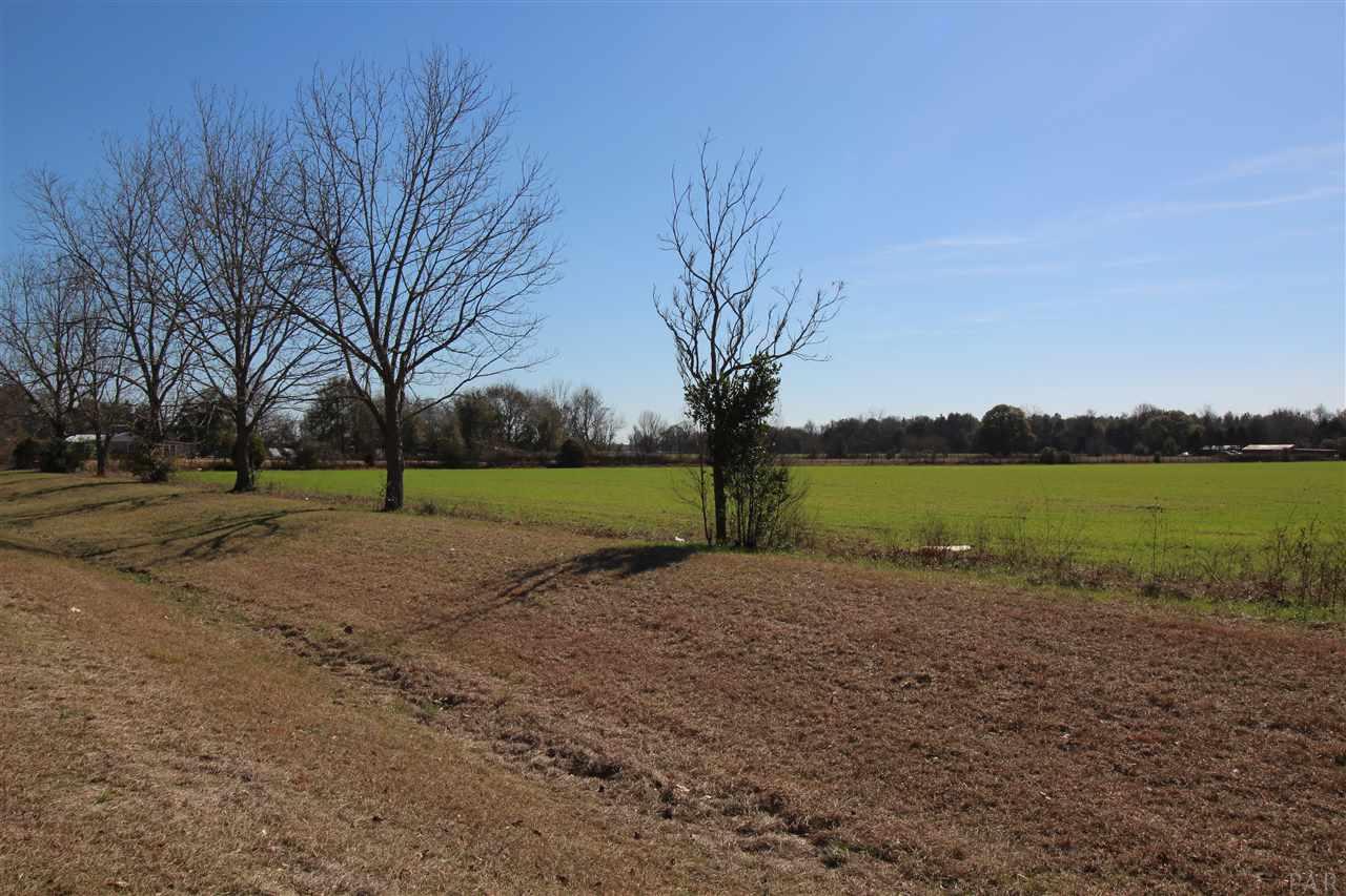0 Hwy 182 Jay Milton, FL 32571 - Photo 12 of 14