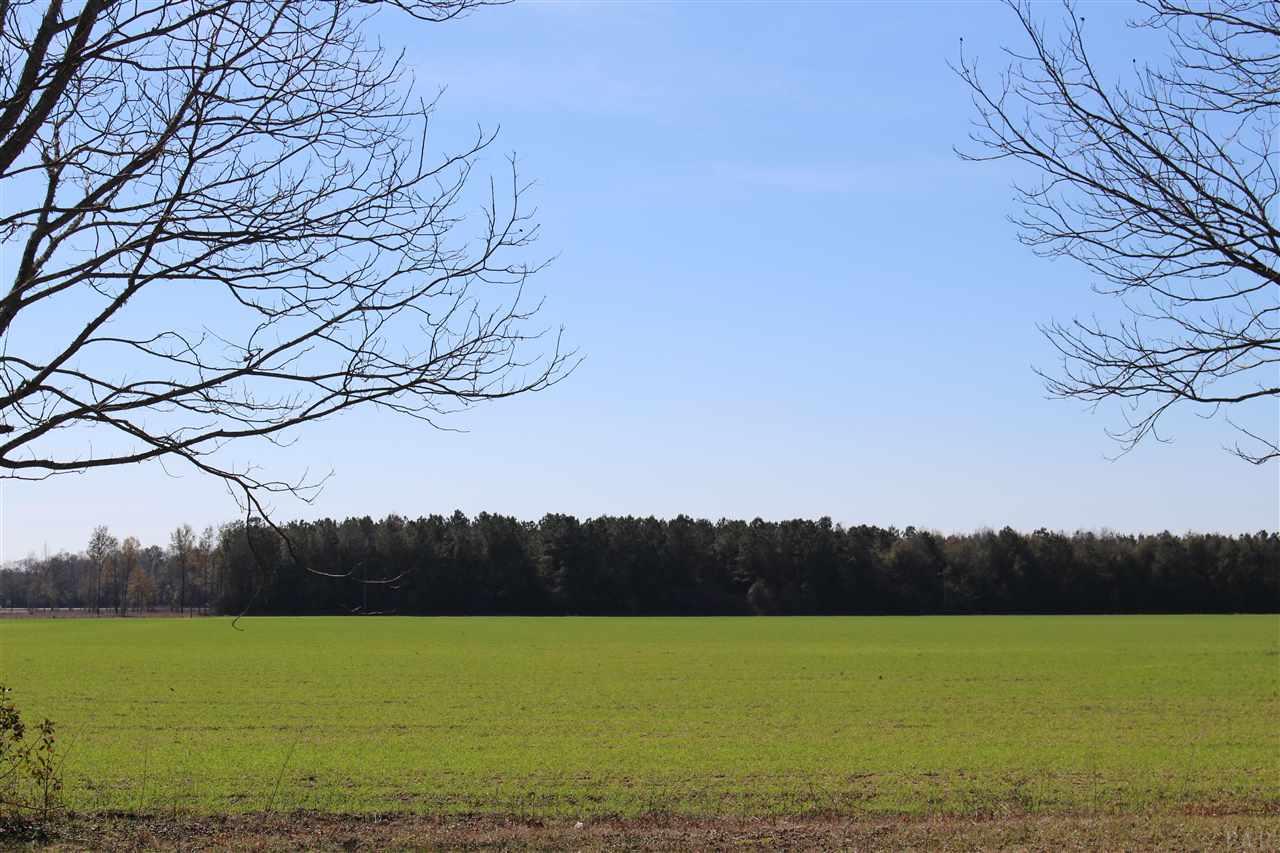 0 Hwy 182 Jay Milton, FL 32571 - Photo 3 of 14