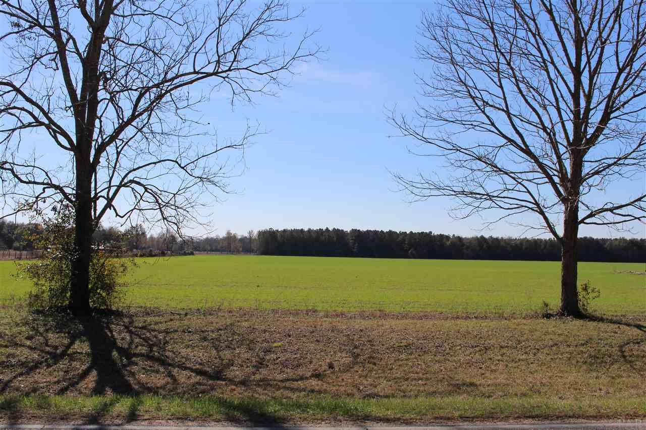 0 Hwy 182 Jay Milton, FL 32571 - Photo 4 of 14