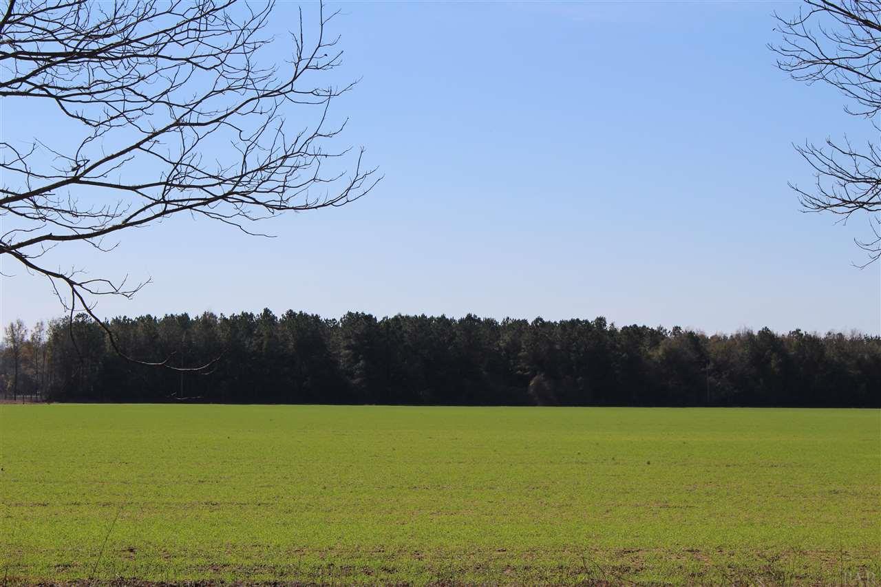 0 Hwy 182 Jay Milton, FL 32571 - Photo 5 of 14