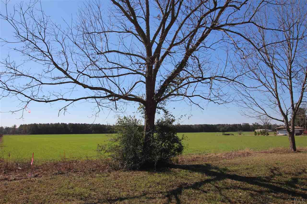 0 Hwy 182 Jay Milton, FL 32571 - Photo 6 of 14
