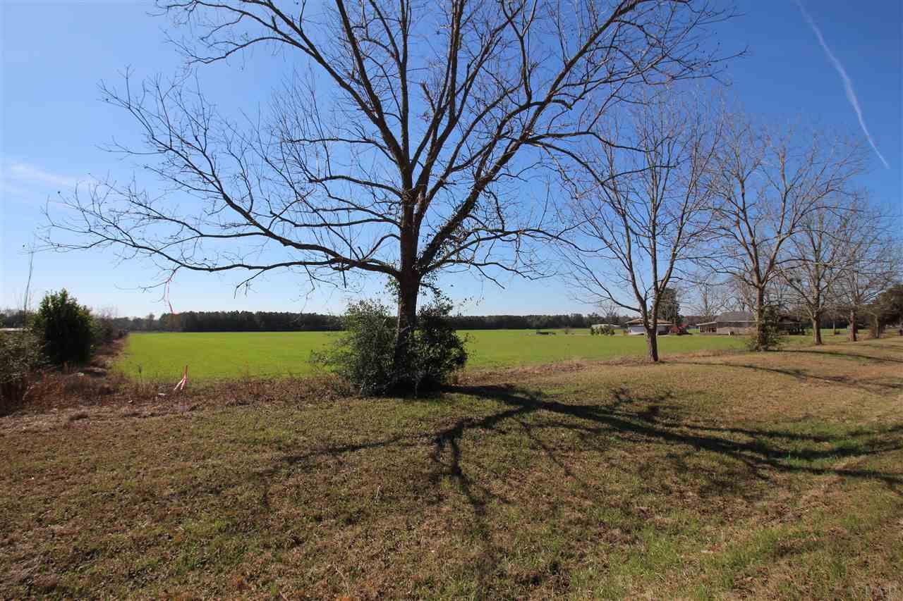 0 Hwy 182 Jay Milton, FL 32571 - Photo 7 of 14